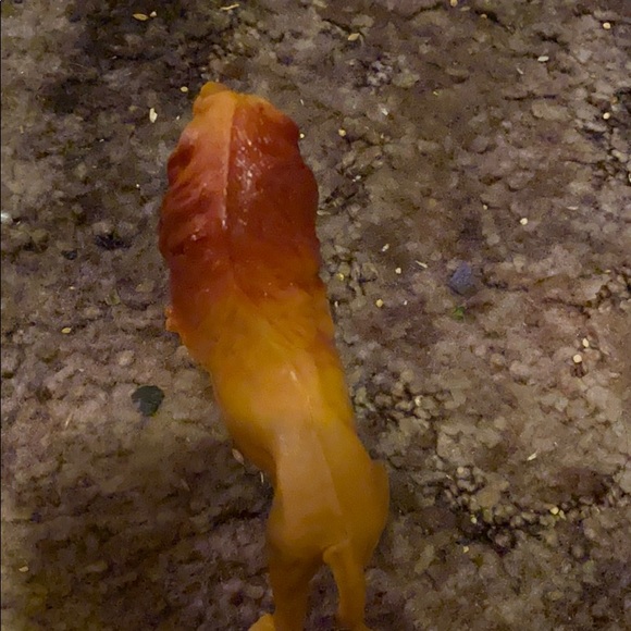 Tiger figuring. - Picture 2 of 9